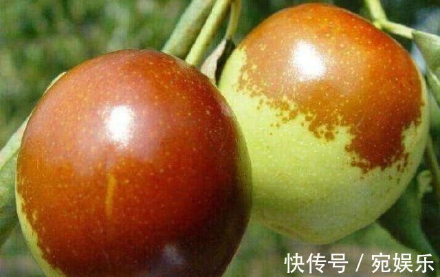 体内湿气|湿气重的人注意,4物早晚换着吃,健脾祛湿,或助你排出体内湿气