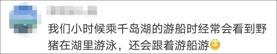 游湖|承包整个千岛湖！两只野猪结伴游湖，网友拍下欢乐瞬间