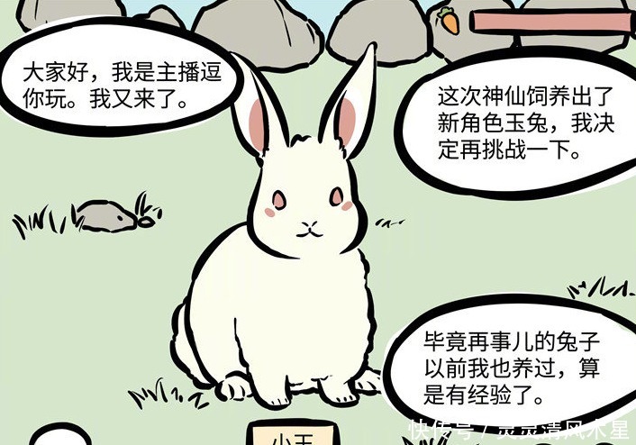 温顺|《非人哉》特别篇怎样饲养一只小玉必须注意一样东西