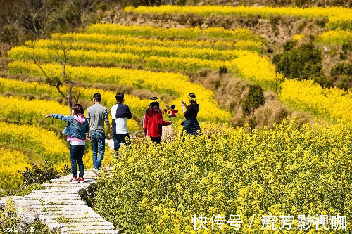 春色|中国”最诗意“的乡村，油菜花海徽派古村完美交融，春色美成仙境