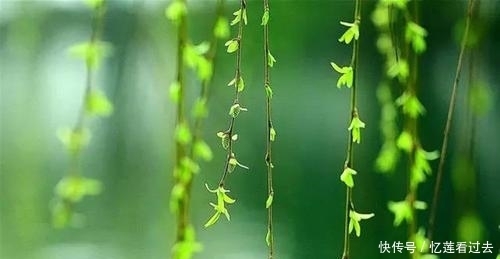 古人是如何过惊蛰的?清末民初湖北惊蛰打虾蟆习俗