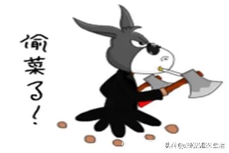 |幽默笑话:女老板会武功还霸道,无论谁工作犯错了,她都会打人