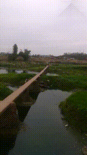 |搞笑GIF段子：试试证明讨厌的不是广场舞，是大妈！