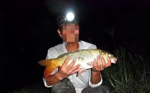 夜钓鲤鱼，真的不用吹，这套钓法最管用，大鲤鱼接连入护