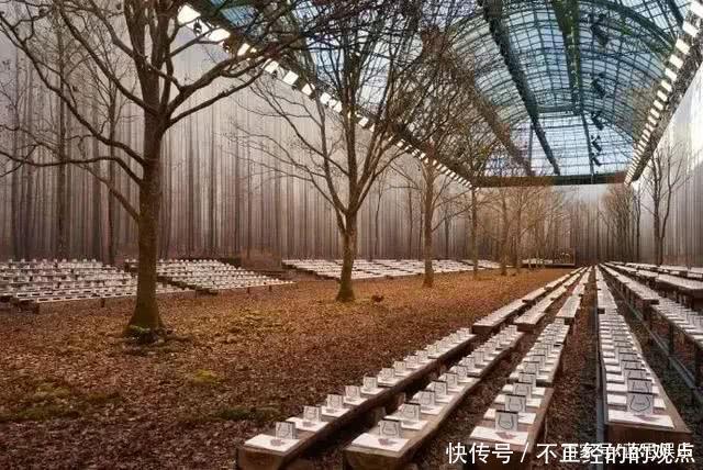 老佛爷|香奈儿为布置森林大秀,不惜“砍百年大树”,也就老佛爷敢这么做