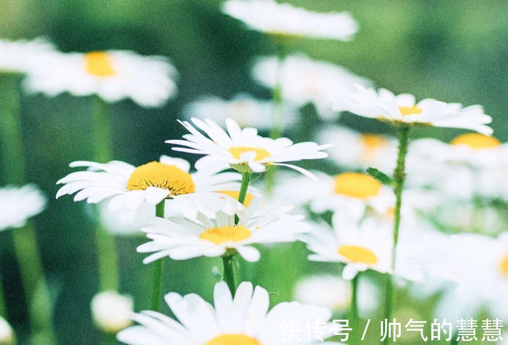 星座|有傲骨、很难讨好他人的星座,不活在世俗的眼光下,追求本心