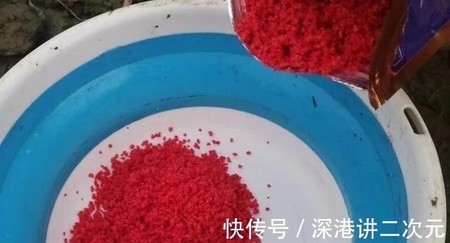 饵料中加点“佐料”,夜钓鱼口更佳,还能有意外收获!