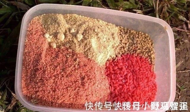 夏天钓鲫鱼学会这几招,轻松避开小鲫鱼,咬钩的全是大板鲫