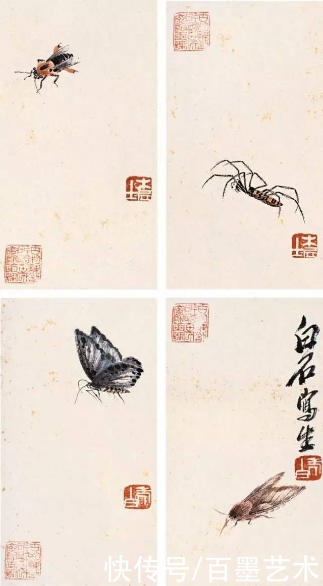 蝴蝶|齐白石草虫图200张,他把草虫画活了