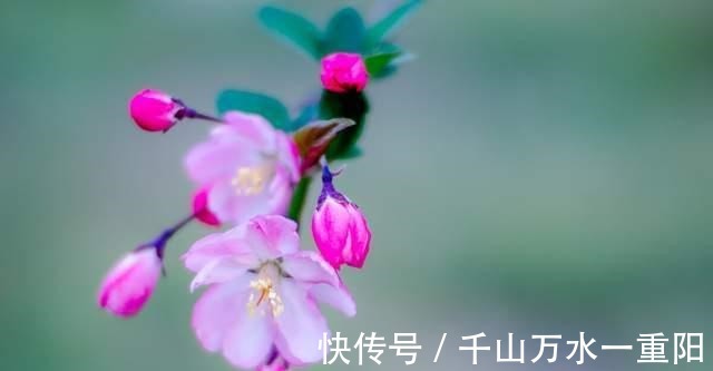 回歸|劉燁終于強勢回歸！攜手侯勇張一山，感人電影《守島人》來了！