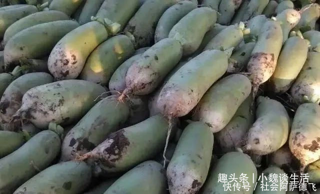 吃一斤它,相当于吃3斤牛肉,5斤猪肝,才8毛钱一斤,蒸着吃最香