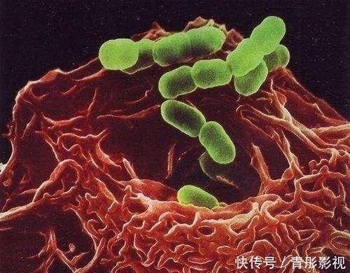 柔软|医师直言：养肝不需太复杂，平时少吃这2样东西，肝会慢慢变柔软