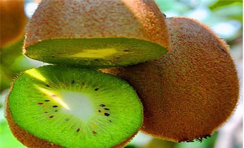 冬天要学会养生，3种食物要多吃，减肥瘦身，皮肤越来越细腻！