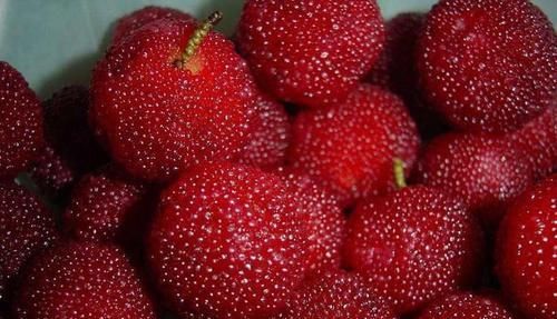 春天要常吃的3种食物，清热解毒，增强体质，让肌肤光滑无皱纹