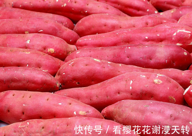 红薯不会保存教你几个技巧，放一年不成问题，越放越好吃！