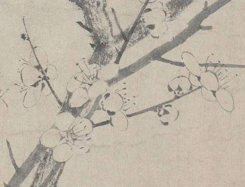 鉴赏$鉴赏|一“简”梅,极尽朴素的美