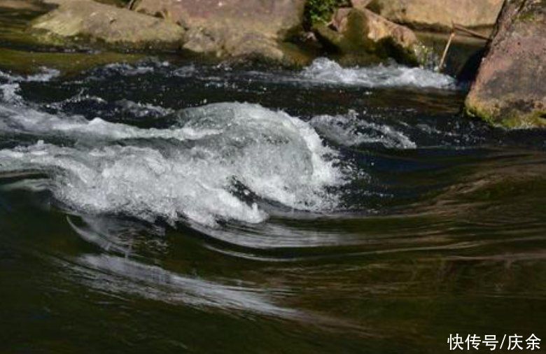 题西林壁|杜荀鹤的一首哲理诗，短短4句，发人深省，值得一读