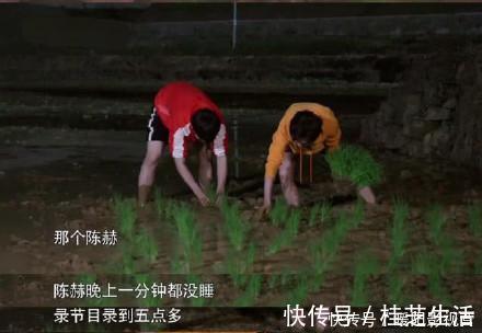 好吃懒做,伪装不懂英文却当过英语导游,陈赫为跑男背了多少锅?