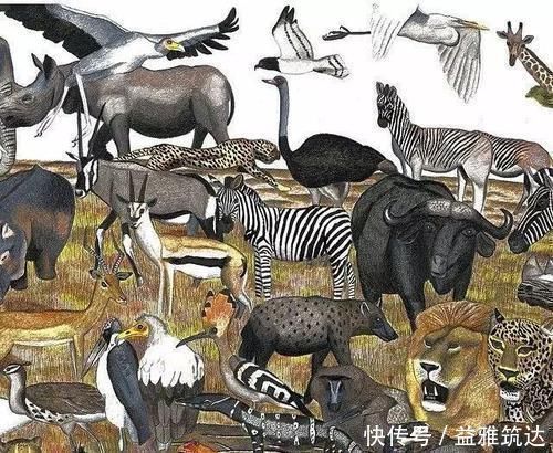 d2岁自闭症男孩,一张画纸画出397种动物,之后的人生如同开挂