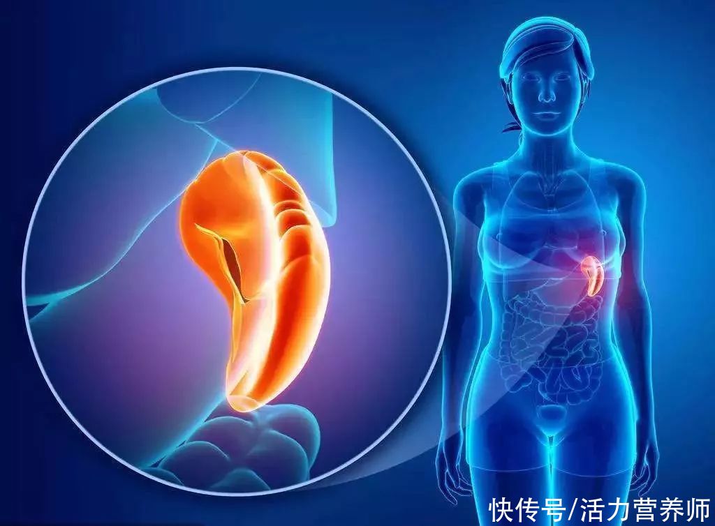 百病|脾虚是“百病之源”，不吃寒凉食物，适当吃4种美食，脾好人健康