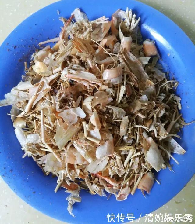 10种“垃圾”不要丢,拿来养花效果好,还能省下一笔钱