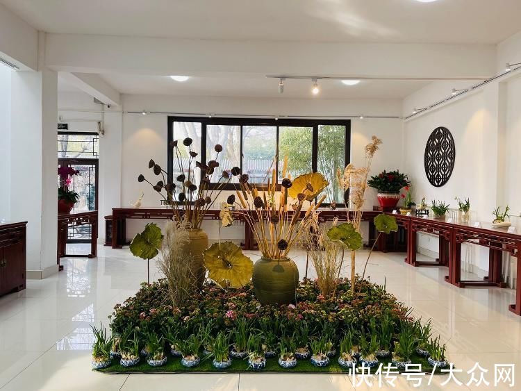 水仙花|大明湖公园迎春花展暨第九届水仙花展即将开幕