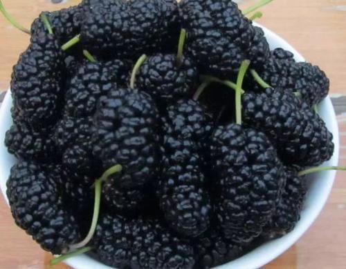 姨妈|女性经期期间，5种水果最好少碰，尤其第4种，小心姨妈“生气”！