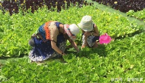 孩子|孩子不爱吃蔬菜咋整？专家：别怪孩子，和母乳、基因等原因有关