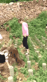 |搞笑GIF段子:我第一眼以为这是周迅呢。