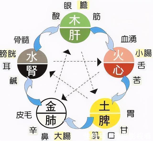 阳气不足|心对舌，肝对目，脾对口，肺对鼻，肾对耳，啥最养五脏？全告诉你