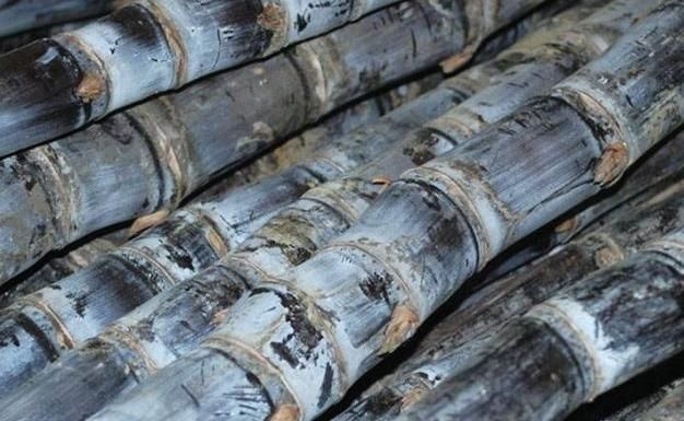 糖尿病人吃鸡蛋,可以吃蛋黄吗?忠告:真正要少吃的是几种常见菜