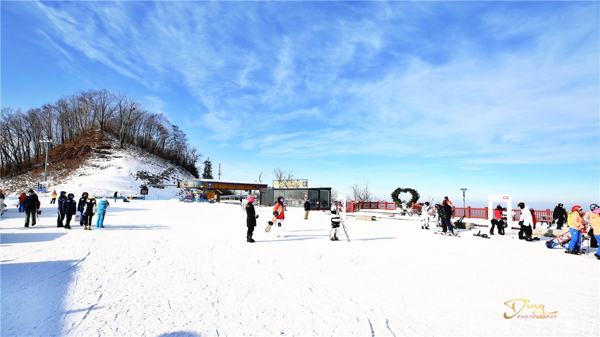 滑行|雪对南方人是个奢侈词，在长白山百年丛林中滑行，身临异域国度中