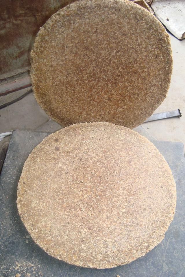 养花有必要加“底肥”吗老花匠教你这样做,植物根系又粗又壮