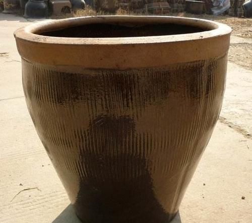 农村大水缸越来越不舍得扔了，铺些碎石水草变水景，城里人抢着要