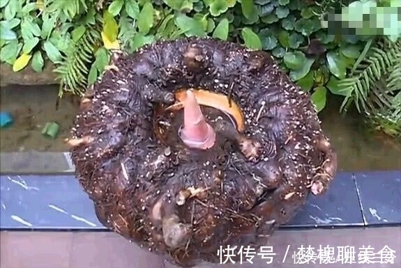 并发症|天然“胰岛素”被医生找到,每天吃一点,越吃血糖越平稳