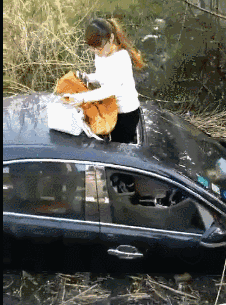 |搞笑GIF趣图:陪客户去喝茶,服务员这倒茶姿势让我有点尴尬