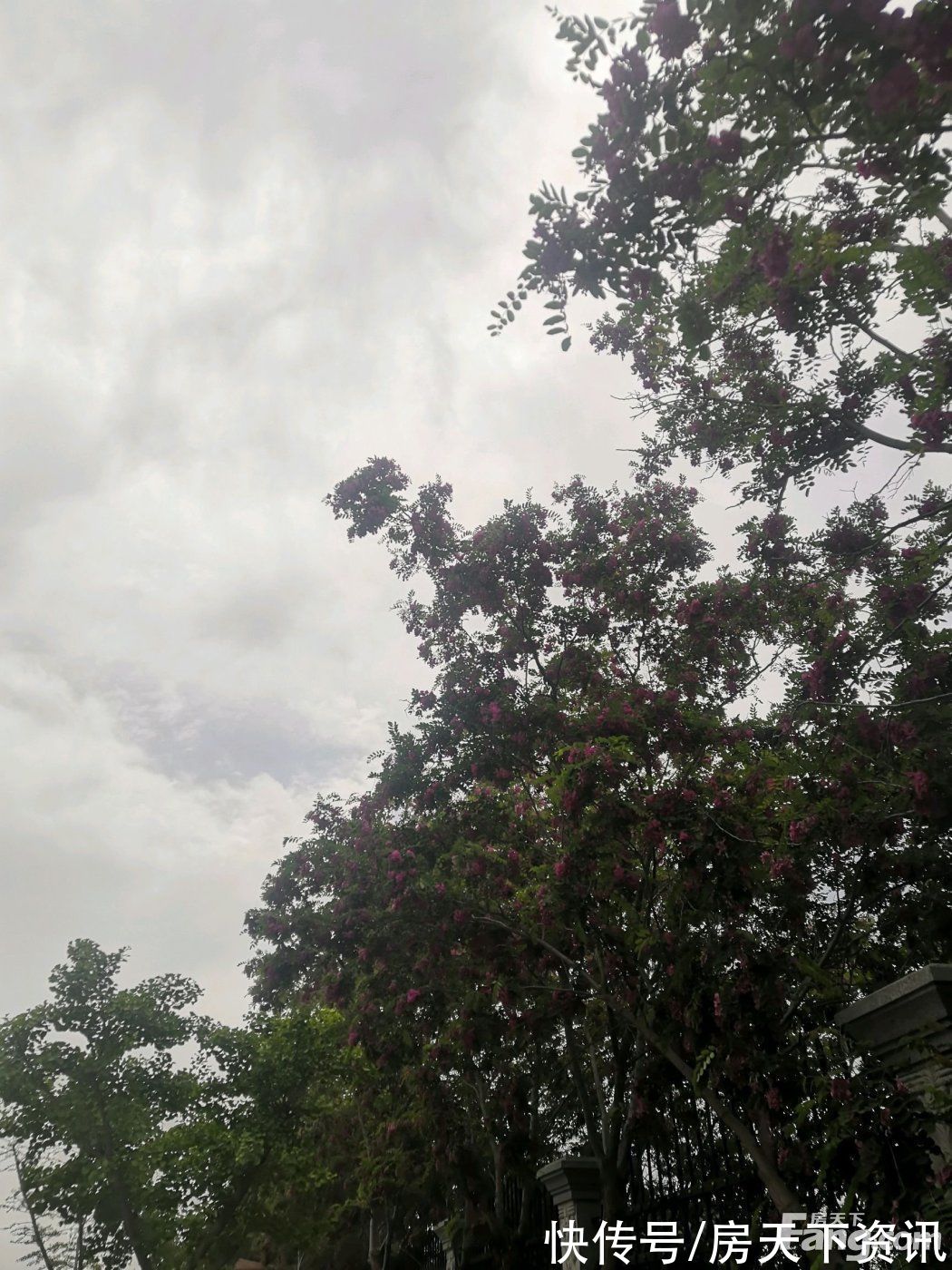 山海|请查收从秦皇岛山海关热门楼盘现场传来多张谍照(组图)