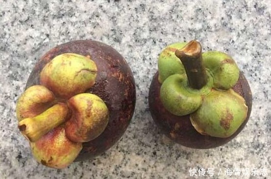 难怪山竹卖的贵,原来山竹皮还有妙用,真的是厉害了!
