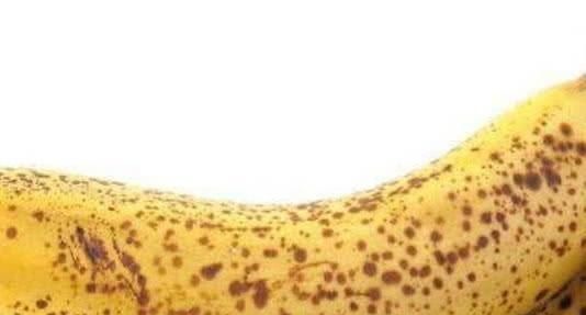 色氨酸|长期失眠不用愁啦! 这几种食物睡前吃一点, 酣然入睡到天亮