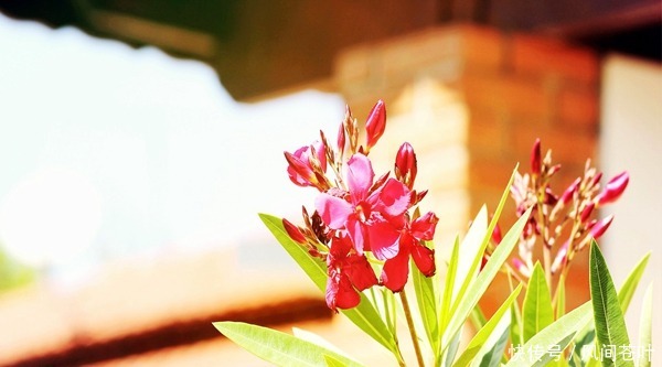 眉头皱纹怎么去除 ,笑看世间变迁 ,而你仍旧青春常在!