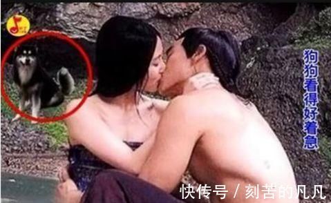 |影视剧里搞笑又奇葩的穿帮镜头,网友:导演小学没毕业