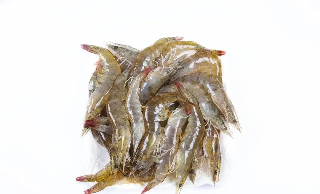 冬季钓鲫鱼什么饵料好?这3种饵料足够了,特别是第1种很好用