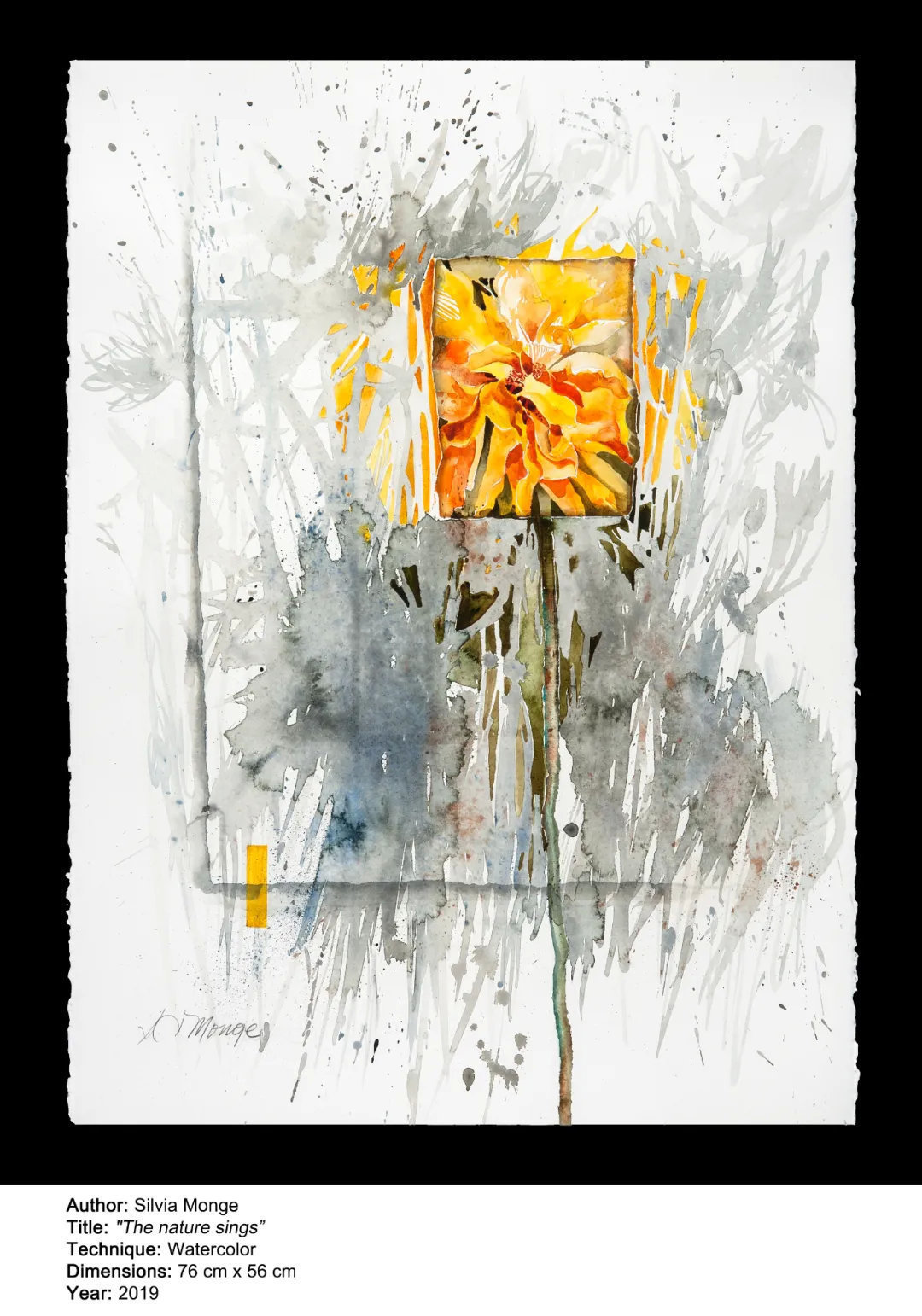 Monge|「第七届水彩节特邀嘉宾」Silvia Monge艺术作品展