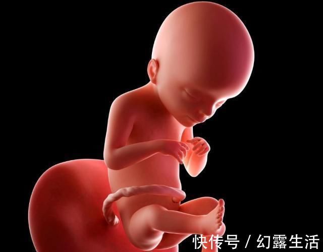 宝宝|怀孕1~40周,每周身体有何变化?送你一份“孕期清单表”!