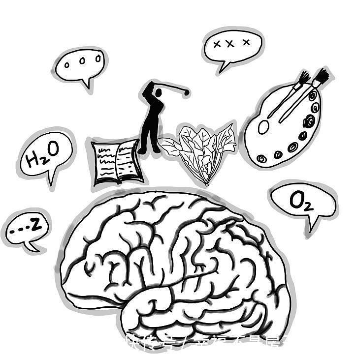 午觉|经常午睡和不午睡的人,时间久了,这4个差距可能很明显