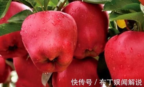 康普|夏天坚持养生,多吃点好的食物,促进消化,滋补养颜,人体不老