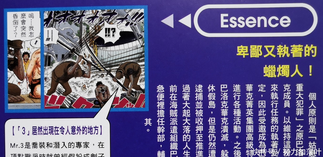巴洛克工作社|海贼王官方资料顶上的关键人物,果实开发得当却无人夸许,Mr.3