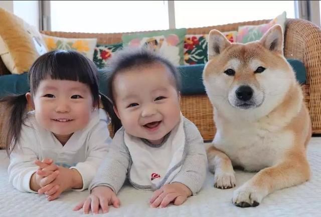 小鱼|“宁愿养俩儿子,也不想生一个女儿”,90后宝妈的心里话,太现实