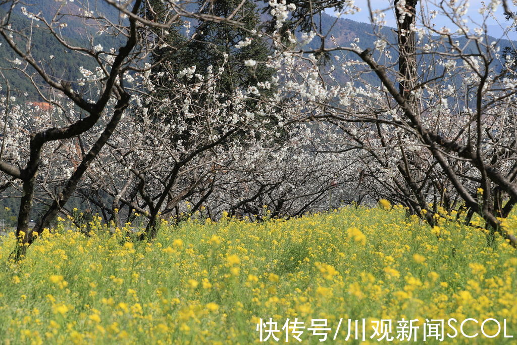 中国历史|承载你的乡愁，四川这30个村被评为首批天府旅游名村