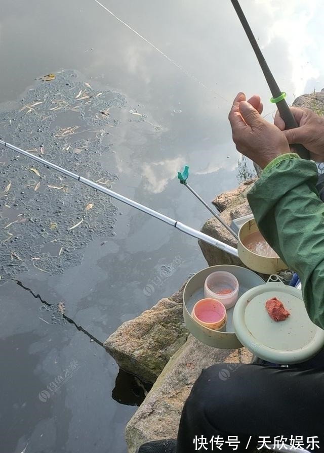 向高龄钓友请教的“摇三摇”钓法,毫无保留的分享给大家